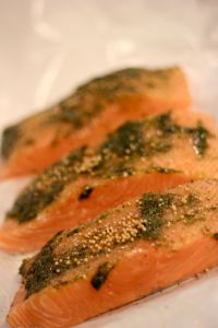 King Salmon