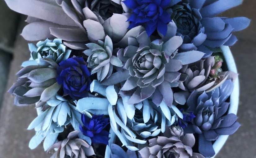 Painted succulents